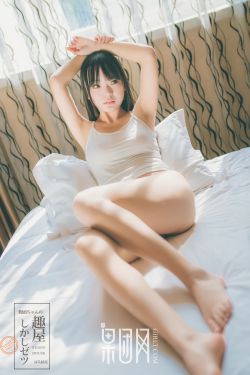 组织部长(1