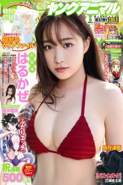 赵昭仪