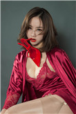 张柔和两只藏獒的故事是什么